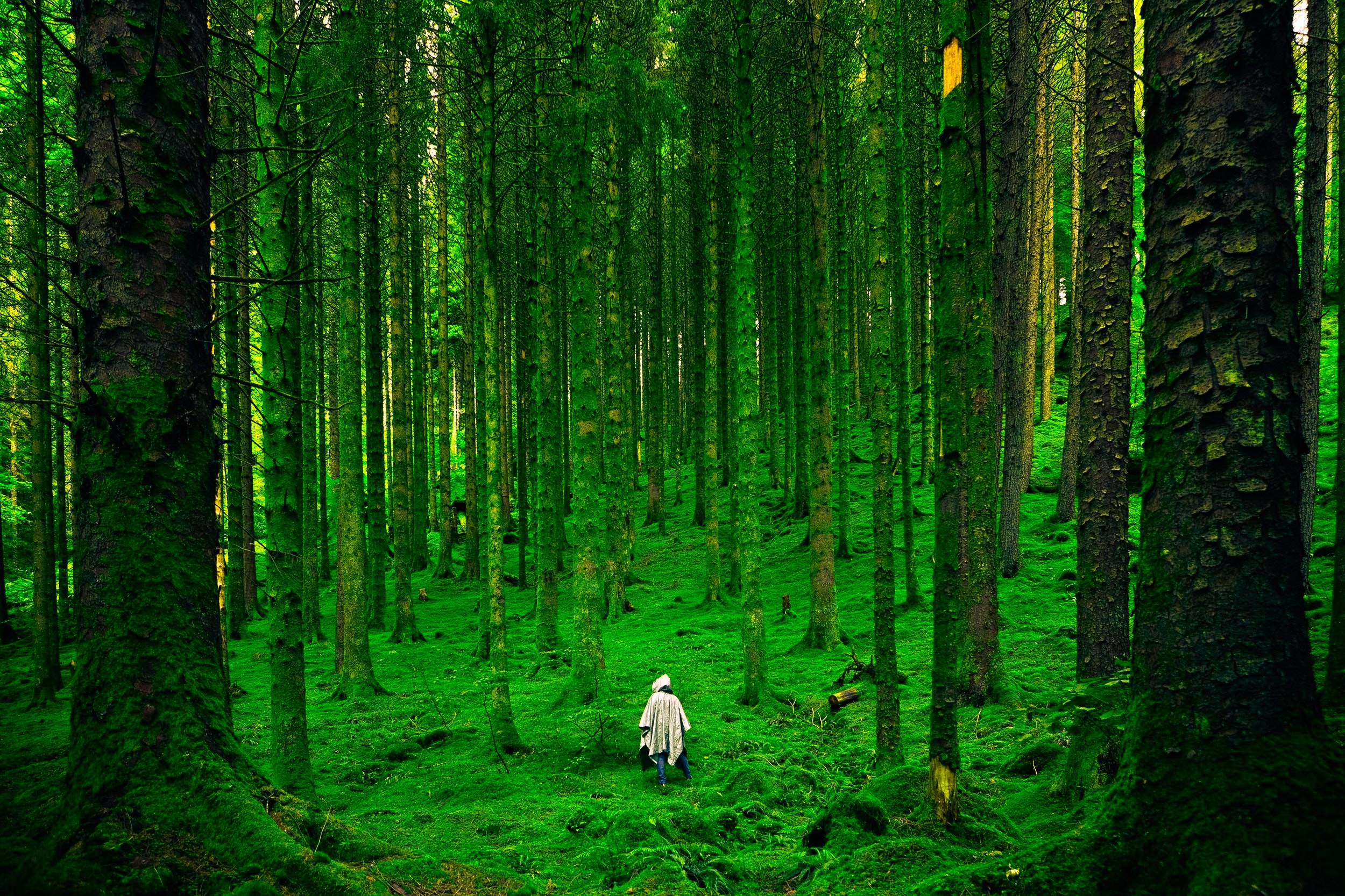 施術家IROHA　サイトのタイトル